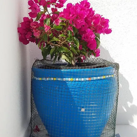 Begonville Appartement *